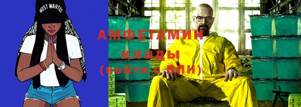 гидра Богородицк
