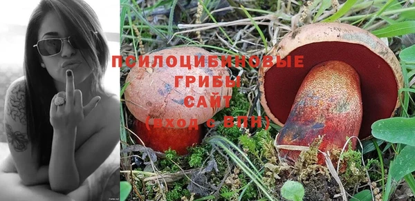 каннабис Бородино