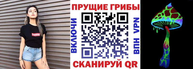 Псилоцибиновые грибы Psilocybe  хочу   Гремячинск 